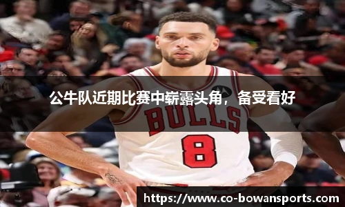 公牛队近期比赛中崭露头角，备受看好
