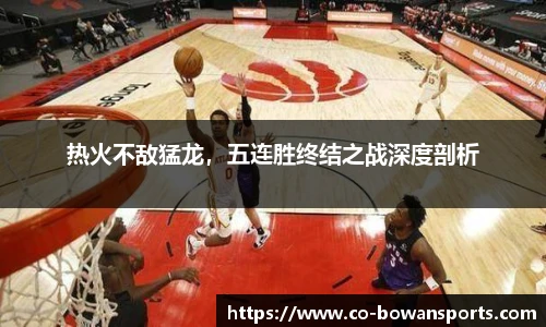 热火不敌猛龙，五连胜终结之战深度剖析