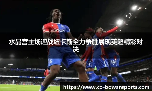 水晶宫主场迎战纽卡斯全力争胜展现英超精彩对决